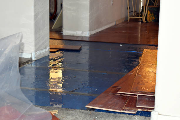 Professional Basement Flood Cleanup technician working in Malta Bend, MO